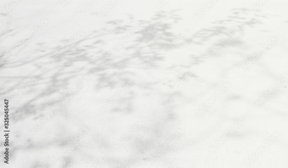 Abstract Shadows, blurred background of gray leaves and natural trees that reflect concrete walls, fallen branches on white wall surfaces for blurred backgrounds and black and white wallpapers.