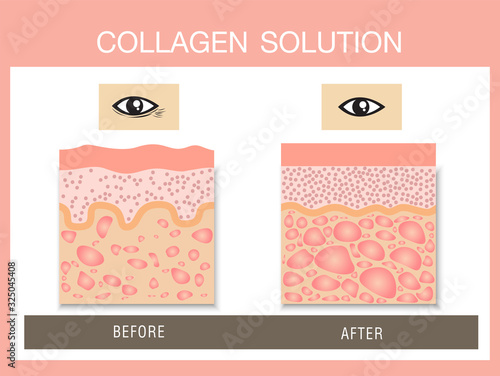 Collagen ,Protection Skin vector