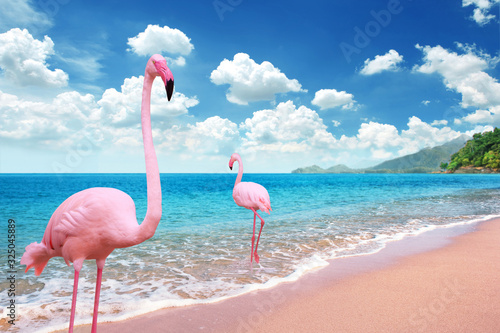 Beautiful Sandy Beach with pink flamingo brids stand in the sea and bright blue sky fully with cloudscape