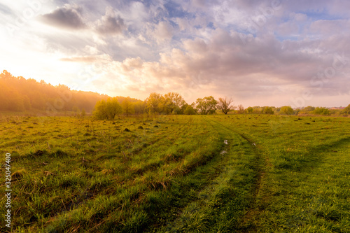 Sunset or dawn in a field with green grass, footpath and willows in the background. Early summer or spring. Landscape after rain with a light haze. photo