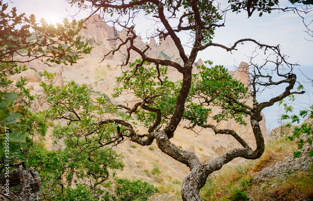 Karadag mountain range in Crimean mountains, an ancient extinct volcano. Karadag mountain range in Crimean mountains, an ancient extinct volcano.