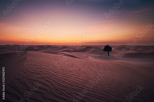 Desert landscape at dusk