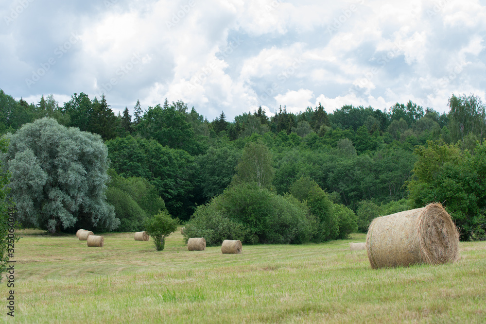 Hay rolls in a mown meadow on hill