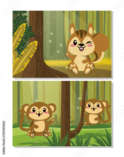 cute chipmunk and monkeys animals