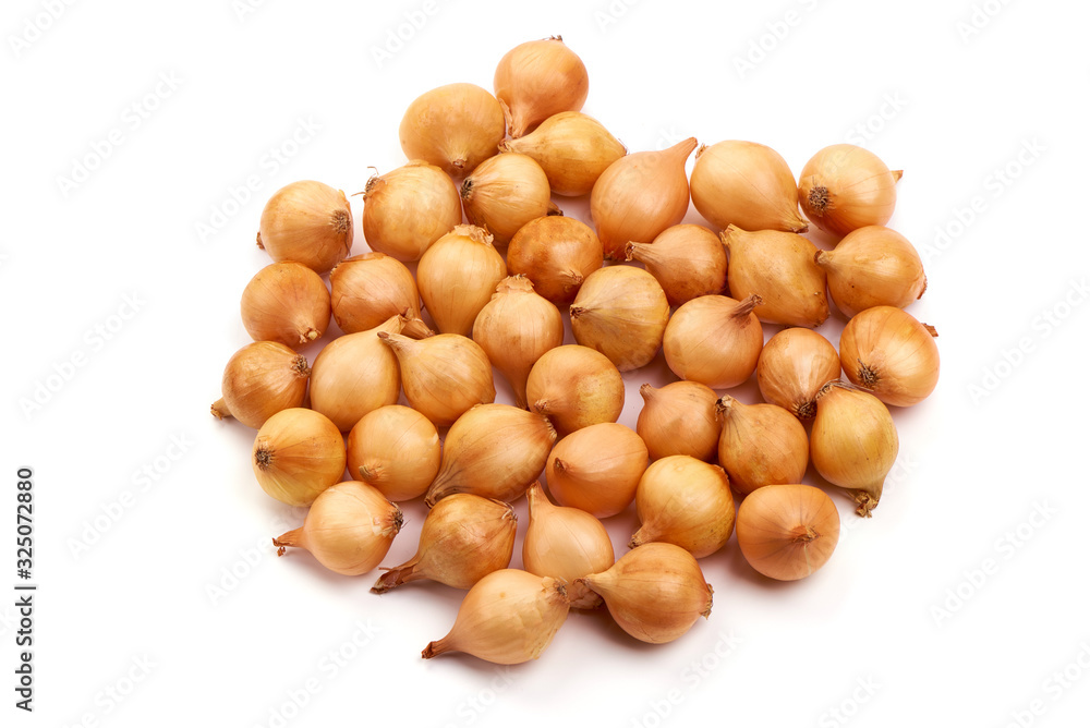 Spring onion bulbs, isolated on white background Spring onion bulbs, isolated on white background