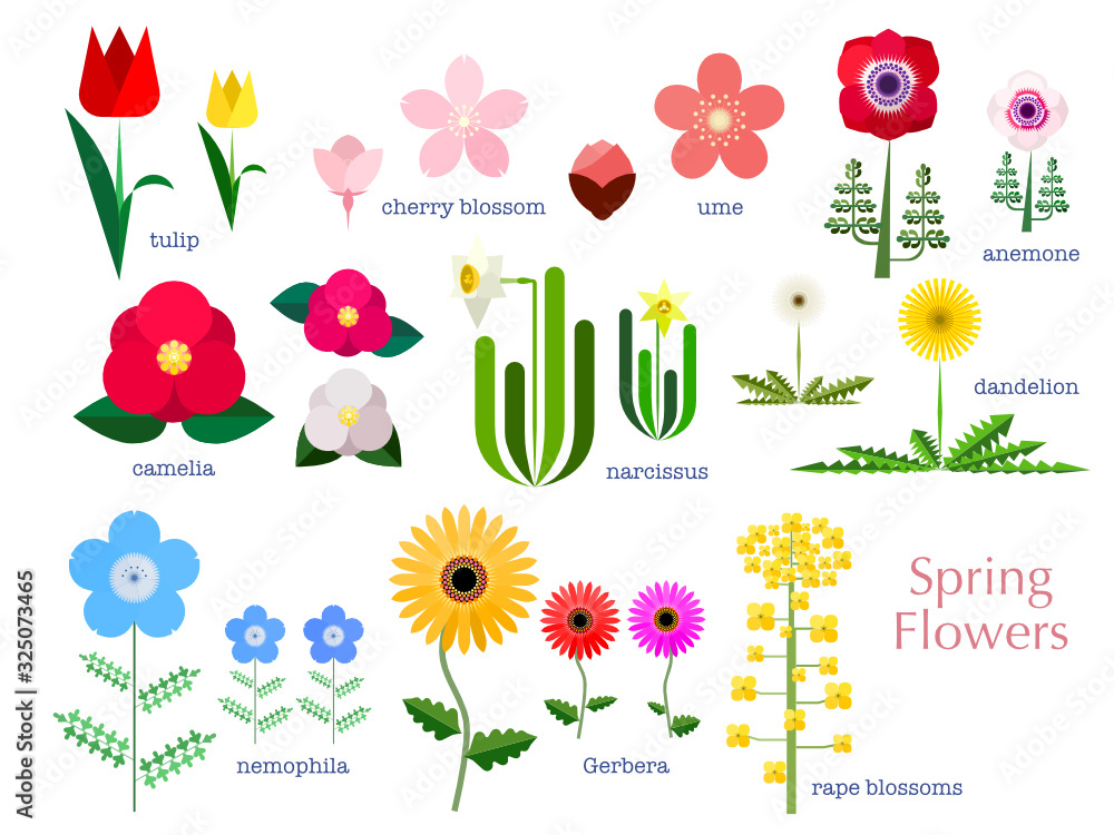 春の花のシンプルイラストセット Stock Vector Adobe Stock 春の花のシンプルイラストセット Stock Vector Adobe Stock