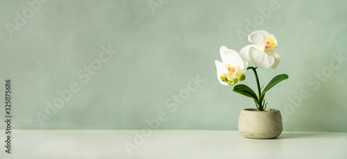 Wooden desk table top with flower on white wall, with copy space