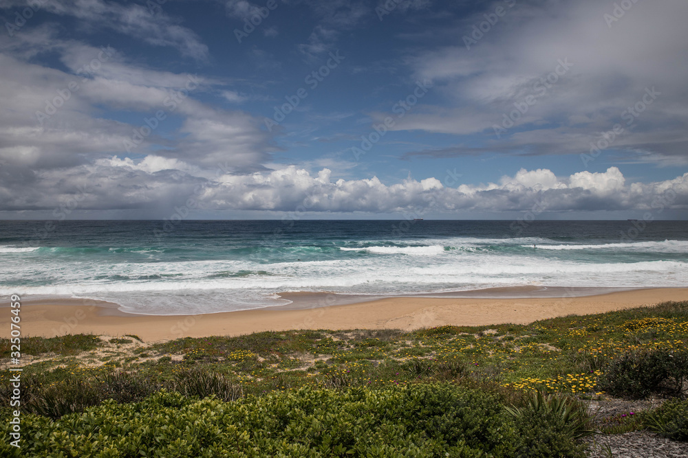 beach and sea Newcastle