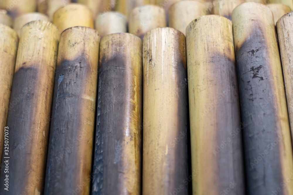 Sticky rice with coconut milk in bamboo ,Famous dessert in Thailand Sticky rice with coconut milk in bamboo ,Famous dessert in Thailand