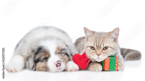 Australian shepherd puppy sleeps with cat who holds gift box. Valentines day concept. Isolated on white background © Ermolaev Alexandr