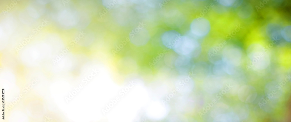 Green leaf background Blurred leaves, circular bokeh, abstract from  beautiful leaves, green nature concepts and for design images and computer  screens. Stock Photo | Adobe Stock