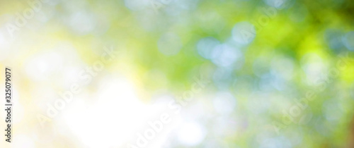 Green leaf background Blurred leaves, circular bokeh, abstract from beautiful leaves, green nature concepts and for design images and computer screens.