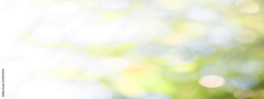 Fototapeta premium Green leaf background Blurred leaves, circular bokeh, abstract from beautiful leaves, green nature concepts and for design images and computer screens.