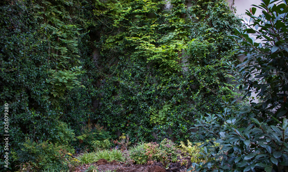 Beautiful landscape natural textures in the nature garden wallpaper background Beautiful landscape natural textures in the nature garden wallpaper background