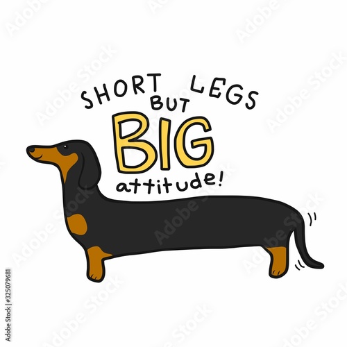 Short legs but big attitude dachshund dog cartoon vector illustration