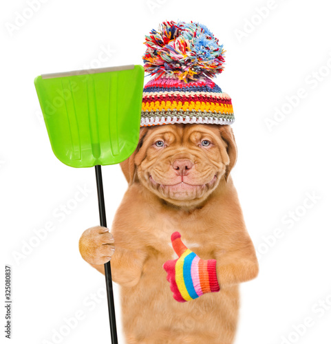 Funny puppy wearing a warm hat with pompon, holds a shovel and showing thumbs up. isolated on white background