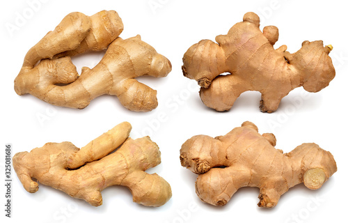 Collection fresh ginger root whole isolated on white background. Creative medical concept, spice in cooking. Perfectly retouched, full depth of field on the photo. Top view, flat lay