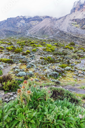 View from the Lemosho trail, the most scenic trail on mount Kilimanjaro, Tanzania