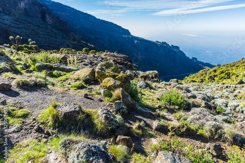 Obraz na plátně View from the Lemosho trail, the most scenic trail on mount Kilimanjaro, Tanzani
