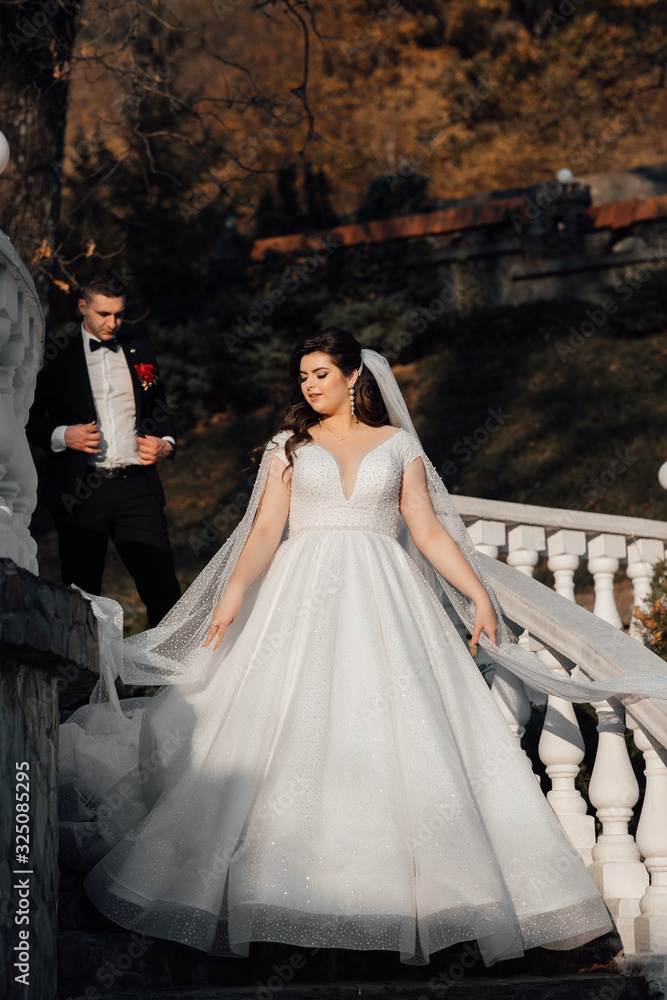 Wedding in a beautiful location. Wedding couple, bride and groom posing on the stairs. Elegant wedding dress. Bride, fashion model jewelry and beauty face, gorgeous  female