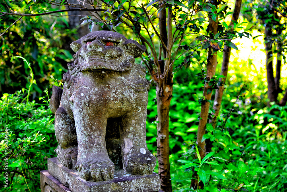 Komainu(Guardian dog) of the Kinugasa shrine in Yokosuka, Japan. Komainu(Guardian dog) of the Kinugasa shrine in Yokosuka, Japan.