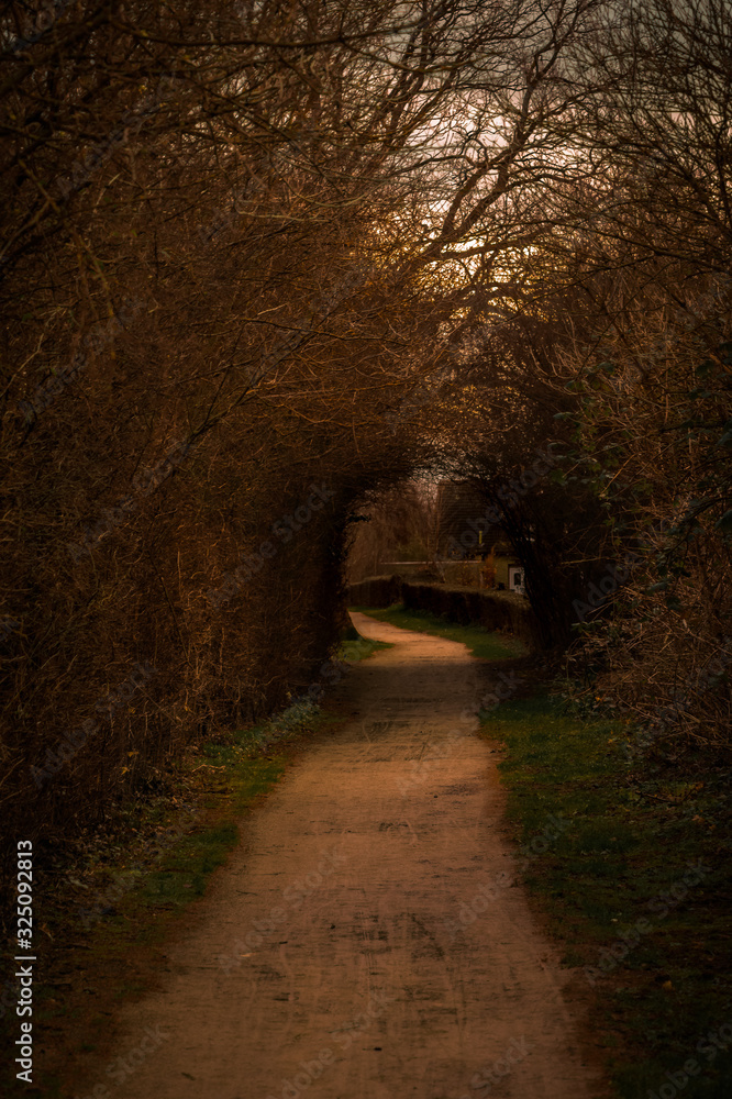 Obraz premium winter without snow