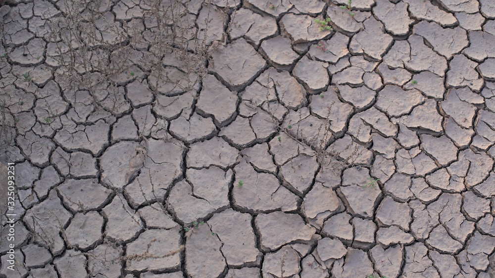 soil cracked background, land in dry season, Abstract natural background with cracked earth texture soil cracked background, land in dry season, Abstract natural background with cracked earth texture