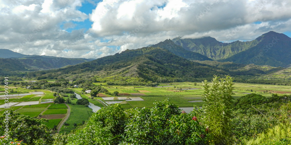 Kauaʻi Valley View 2
