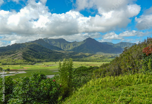 Kauaʻi Valley View