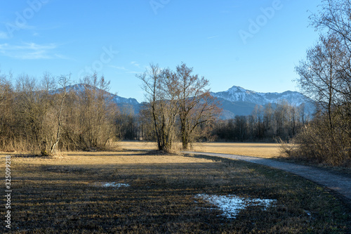 Blick über Wiesen und Auwald auf die Berge im Frühjahr bei Sonne und blauem Himmel