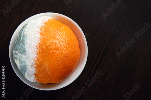 Spoiled orange with mold on wooden background with copy space