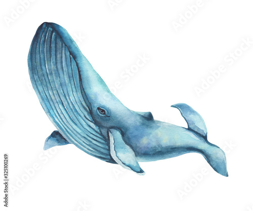 Photography Watercolor hand-drawn humpback whale illustration - jumping up from the foamy ocean wave, playful, happy mammal