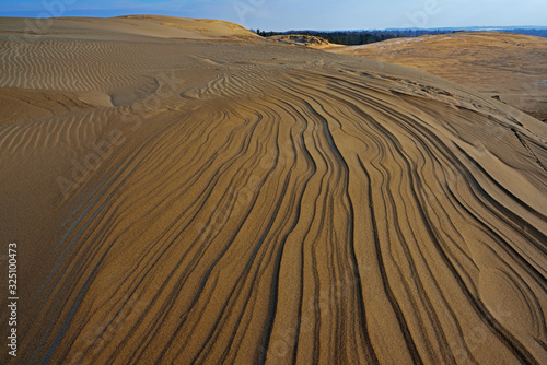 Fototapeta Naklejka Na Ścianę i Meble -  Landscape of the Silver Lake Sand Dunes, Silver Lake State Park, Michigan, USA