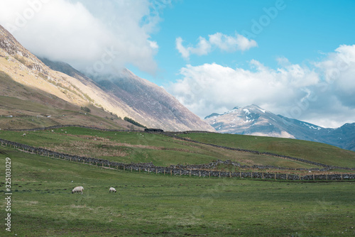 campo escocia