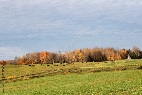 Campagne des cantons de l'est, Estrie, Agriculture en automne, Québec Canada © Helene Gaudreau