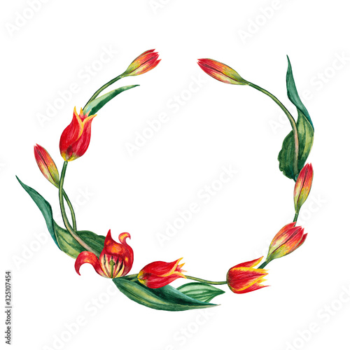 Wallpaper Mural Round frame of realistic red tulips. Blossoming and buds inflorescences. Classic festive decoration for women's day 8 of March. Watercolor hand painted isolated elements on white background. Torontodigital.ca