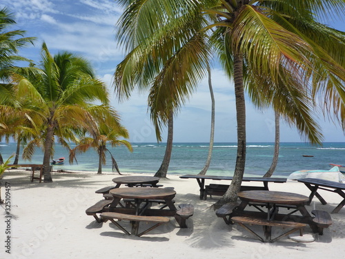 Beach impression under palm trees on a Caribbean coast
