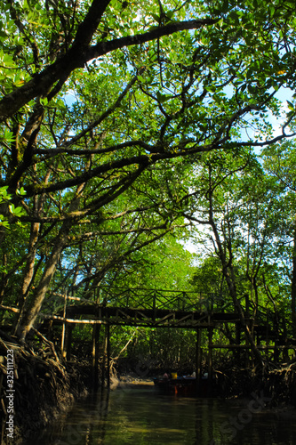 Boating through a dense and dark forest near the Mud Volcano, Baratang, Andaman and nicobar islands, India.