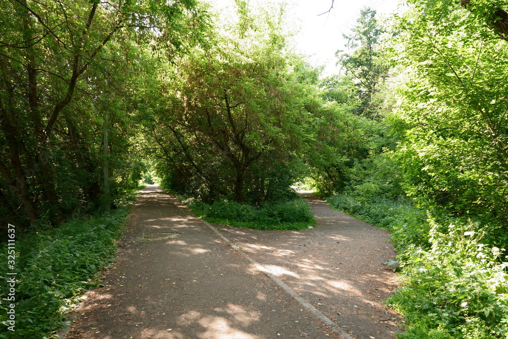 Walking road in the park