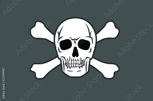 Vector Isolated Illustration of a Pirate Flag with a Skull and Two Crossed Bones 