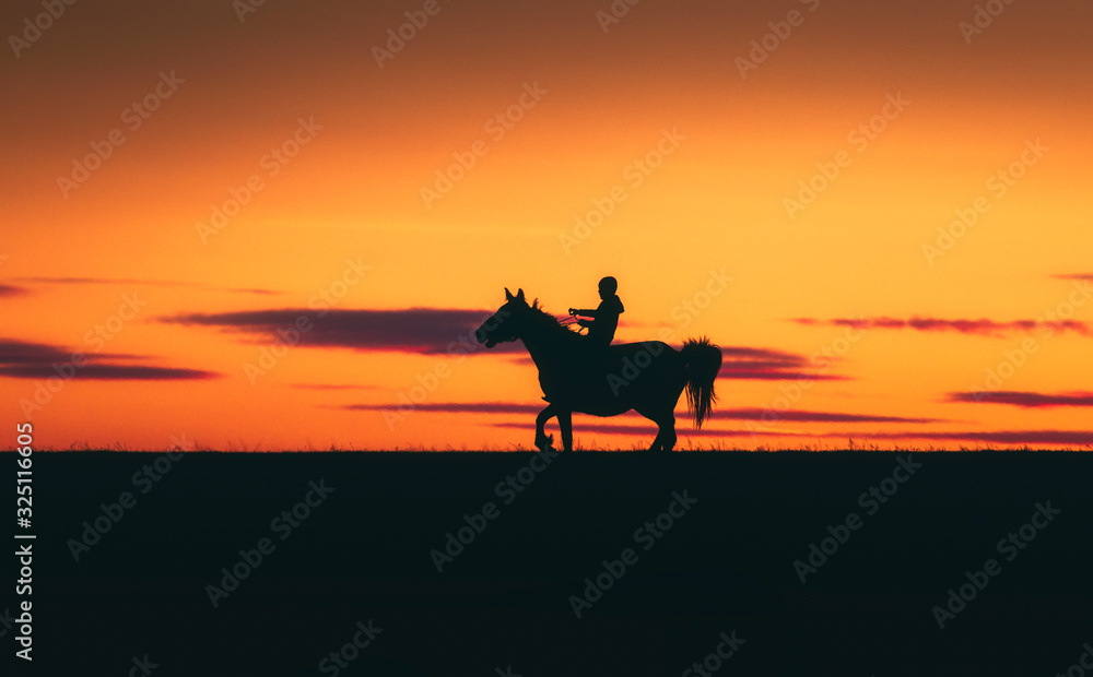 horse and rider at sunset