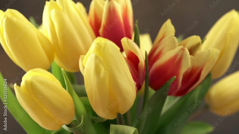 Rotating of spring tulips bouquet in a vase. Red and yellow flowers. Easter springtime concept. Rotating of spring tulips bouquet in a vase. Red and yellow flowers. Easter springtime concept.