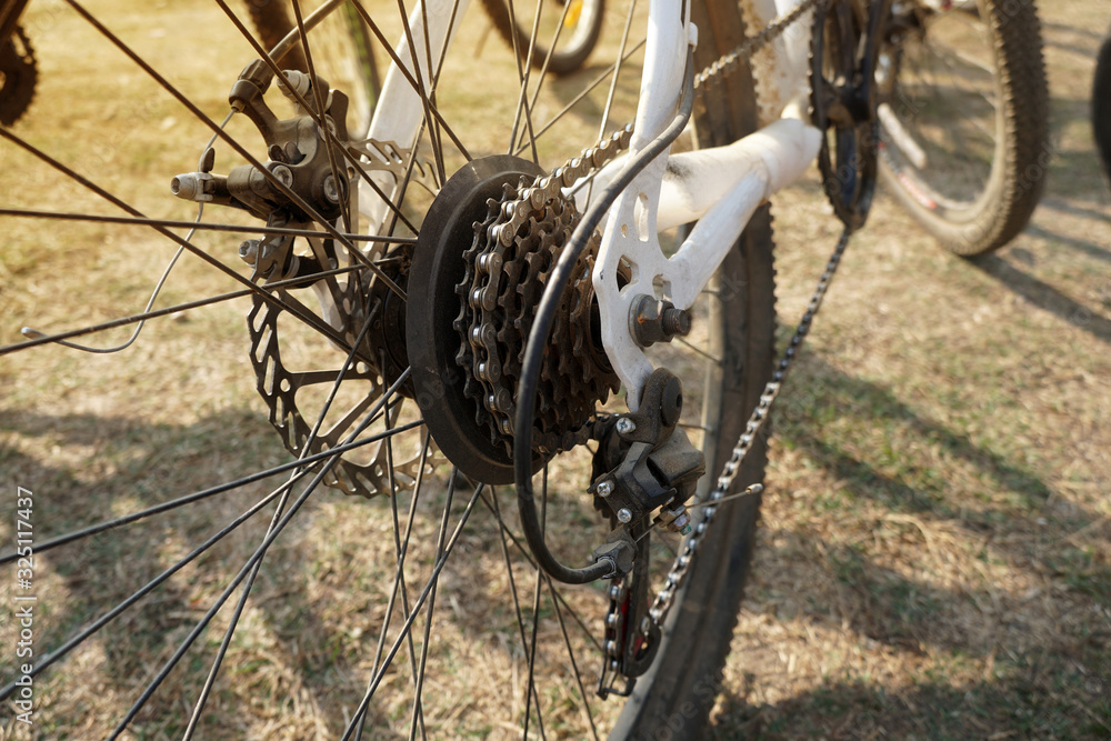 Fototapeta premium Gears of bike, Bicycle gear, Rear wheel cassette, bicycle gears mechanism and chain on the rear wheel of mountain bike