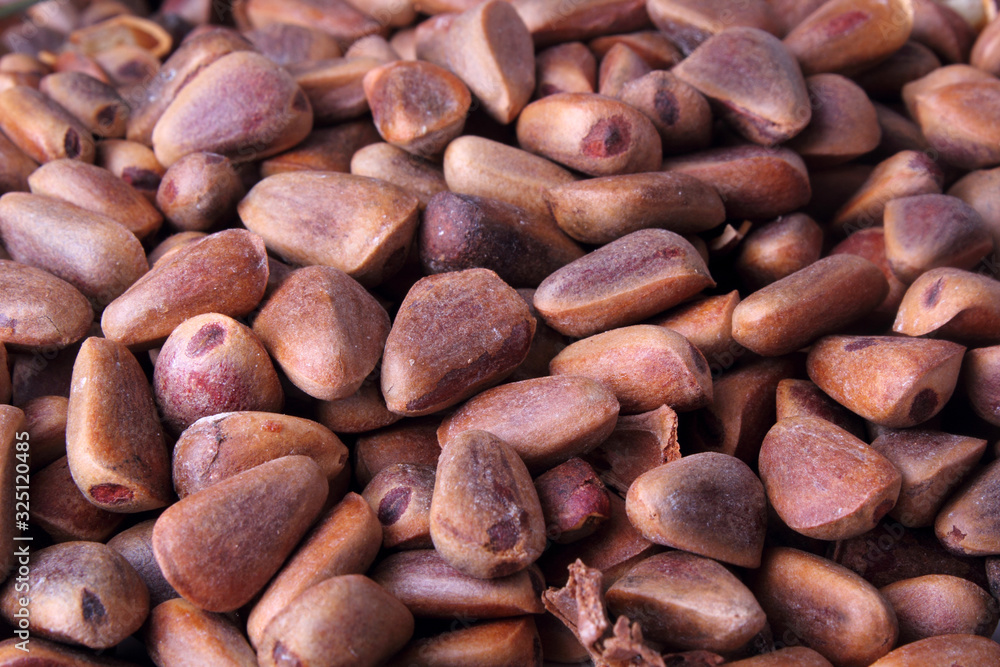 Cedar nuts background Cedar nuts background