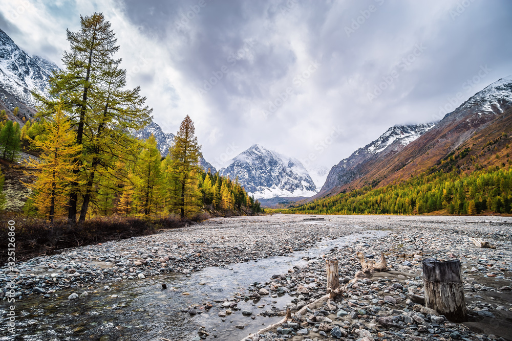 Autumn Valley of the Aktru River, at the foot of the glaciers of the North Chuysky Range. Kosh-Agachsky District, Altai Republic, Russia