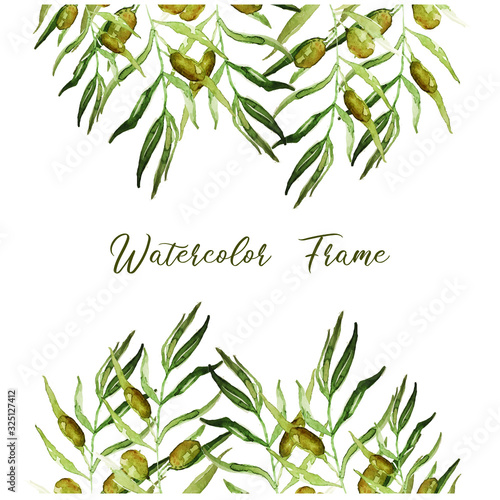 Vector watercolor pattern of olive branches. Акварельные оливки
