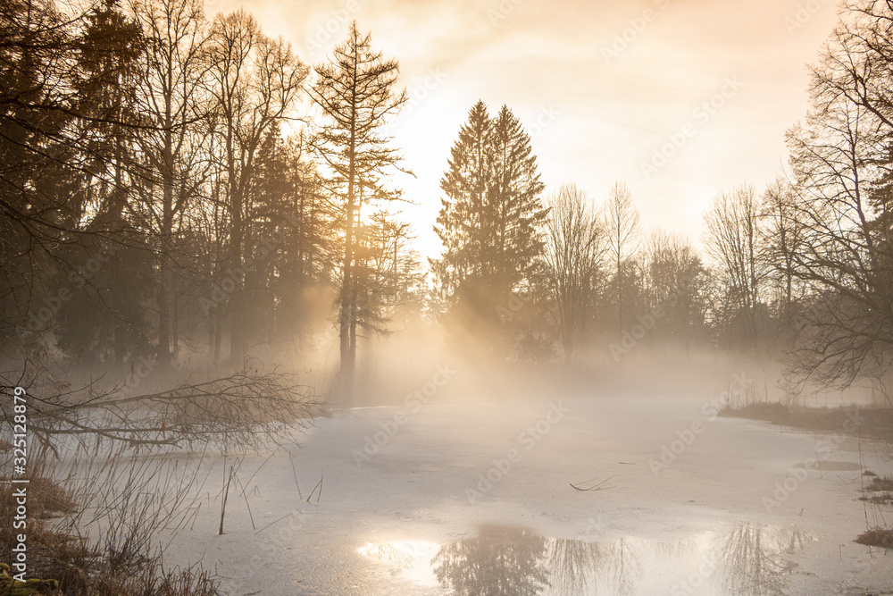 Misty sunset at the frozen pond after the rain in early spring with surrounding trees in Latvia