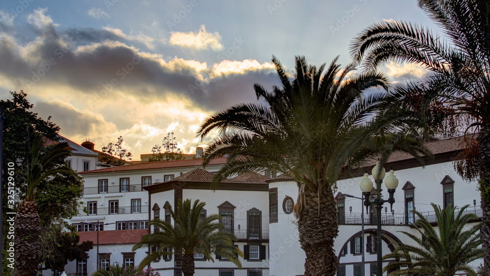 Sunset over houses and palms in Funchal, Madeira, Portugal timelapse