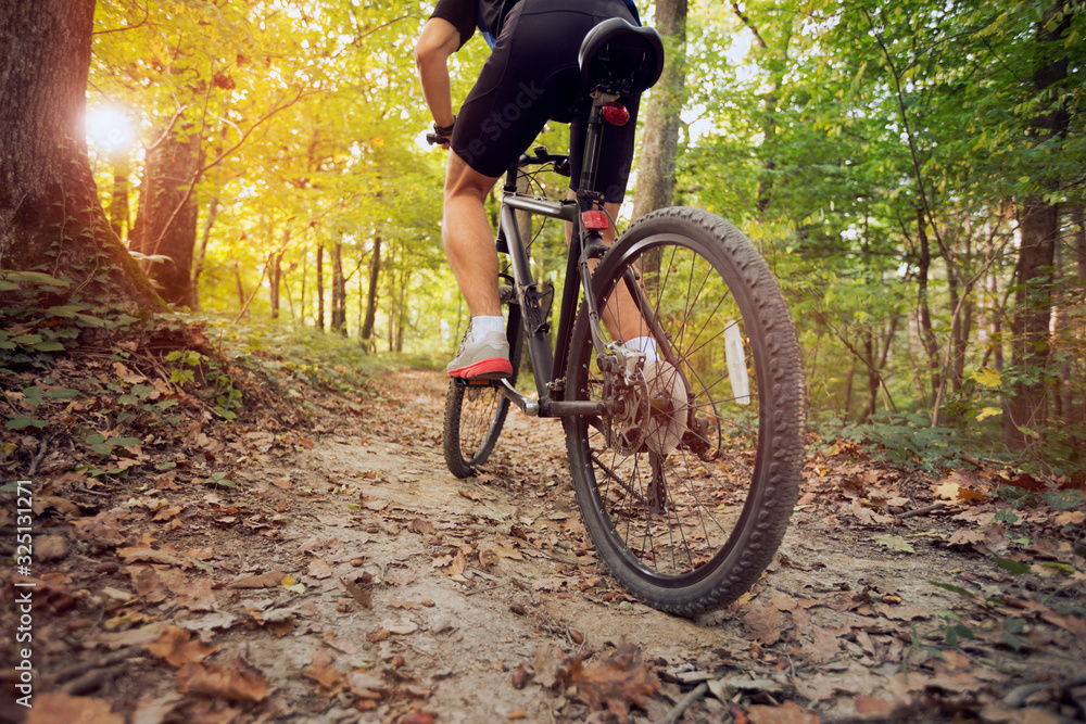 mountain bike in sunny forest - obrazy, fototapety, plakaty 