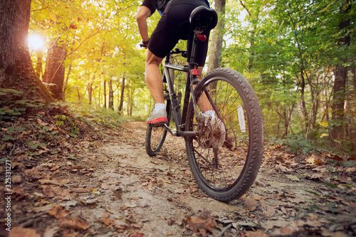 mountain bike in sunny forest